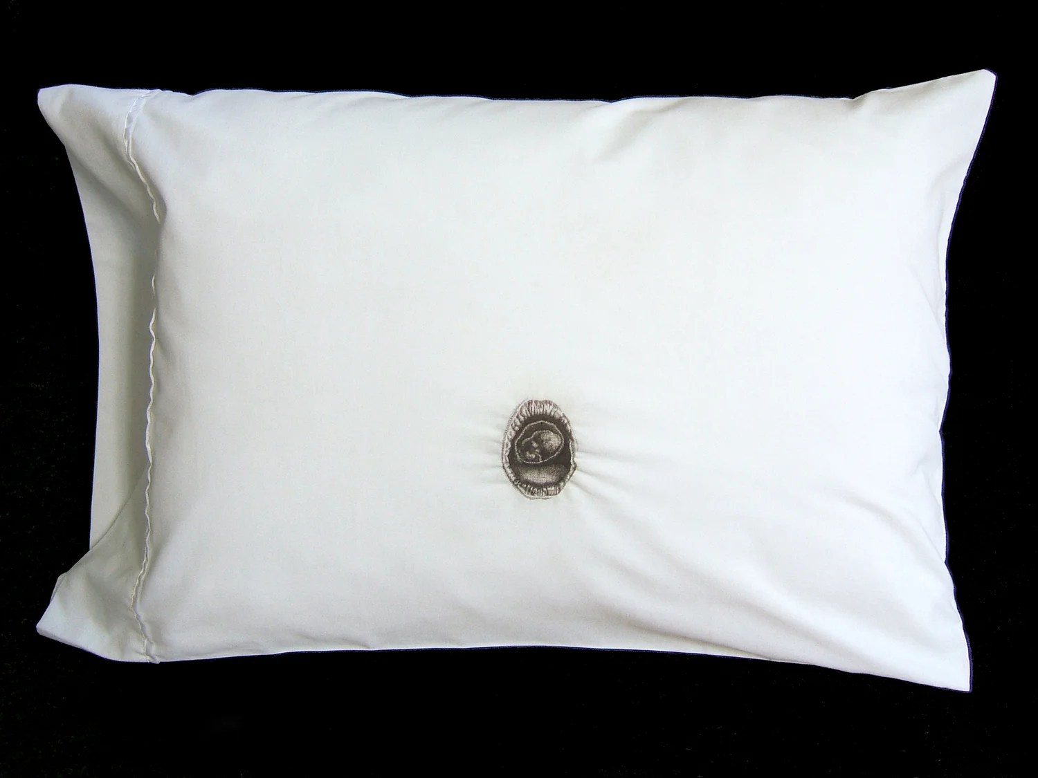 Kate Kretz: Pillows Embroidered with Human Hair